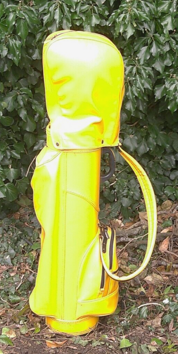 Vintage 6 Division Mizuno Golf Cart Carry Clubs Bag