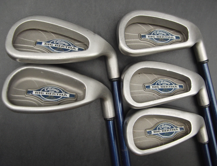 Set of Callaway Big Bertha X-12 6-PW+Donnay Driver+3+5 Wood +Putter*