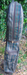 6 Division Pebble Beach Trolley Cart Carry Golf Clubs Bag*