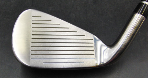 Lynx 6 Iron Senior Graphite Shaft With Grip
