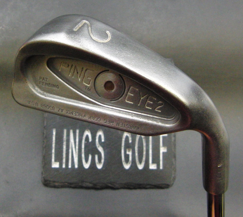 Ping Eye 2 Brown Dot 2 Iron Regular Steel Shaft Ping Grip