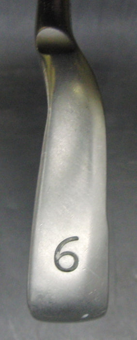 Ping G30 Blue Dot 6 Iron Regular Graphite Shaft Ping Grip