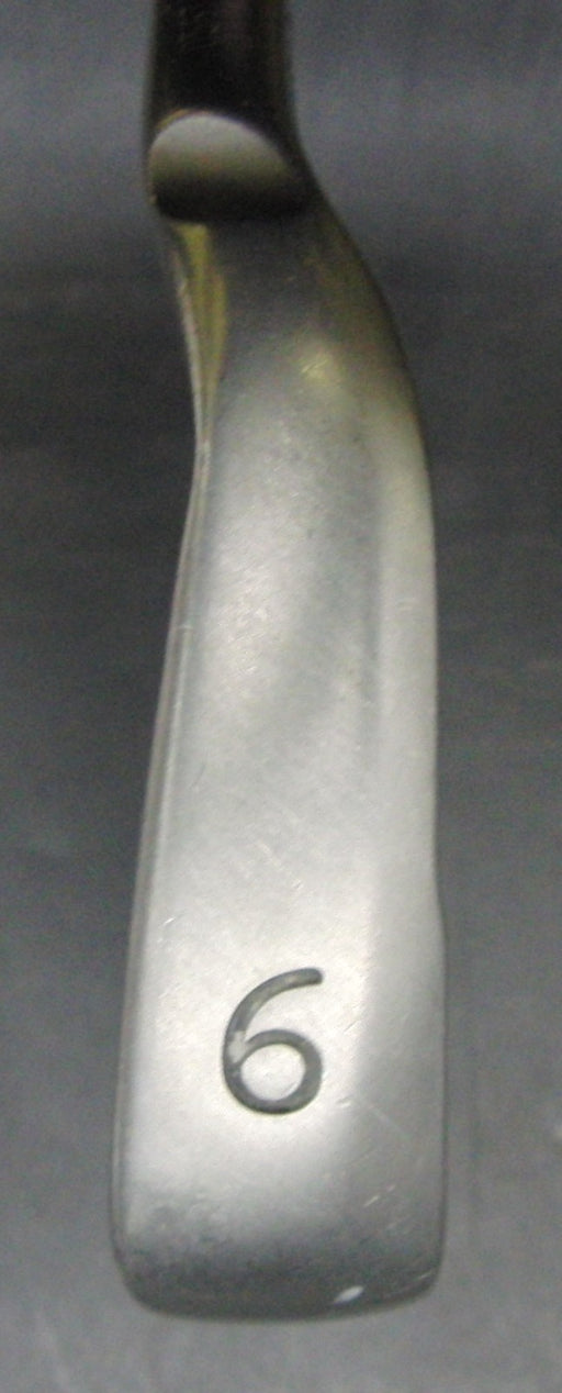 Ping G30 Blue Dot 6 Iron Regular Graphite Shaft Ping Grip