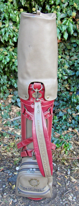 Vintage 6 Division Dunlop Phoenix Tournament Golf Cart Carry Golf Clubs Bag*