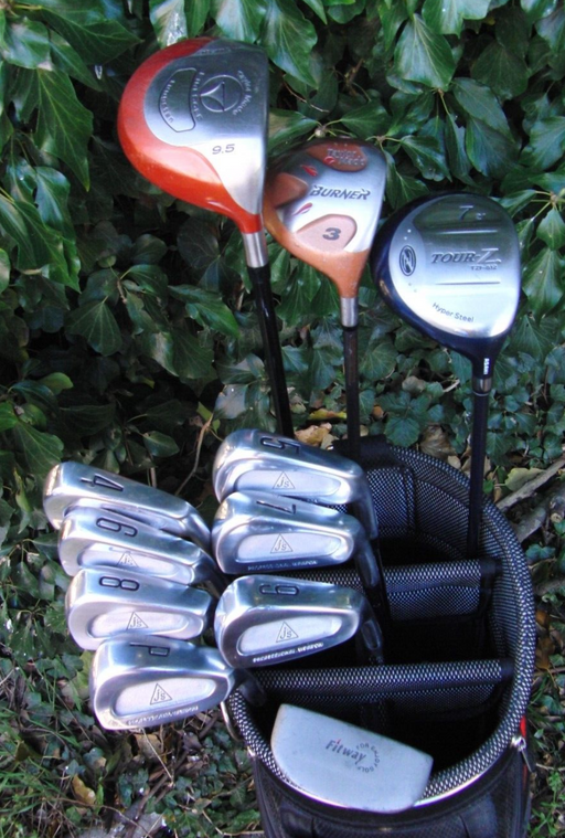 Set of Bridgestone Professional J'S 5PW + Driver + 3 Wood + 7 Wood + Putter