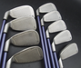 Set of Callaway Big Bertha Irons 3-PW+AW + Callaway Driver + 4 + 5 Wood + Putter