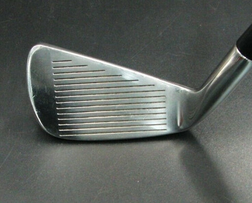 Hogan H40 6 Iron Regular Steel Shaft Brosnan Grip