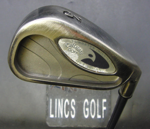 Callaway Hawk Eye 3 Iron Regular Graphite Shaft Callaway Grip