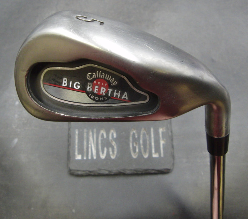 Callaway Big Bertha 2004 5 Iron Regular Steel Shaft Golf Pride Grip