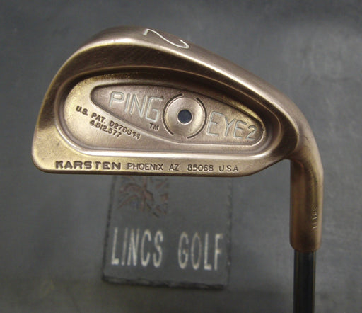 Ping Eye 2 BeCu Black Dot 2 Iron Stiff Steel Shaft Black Grip