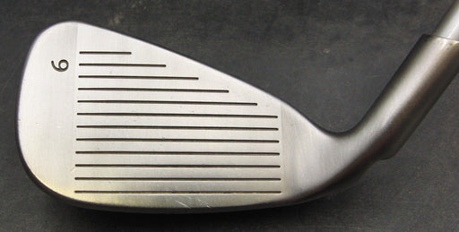 Ping G25 Purple Dot 6 Iron Regular Graphite Shaft Ping Grip