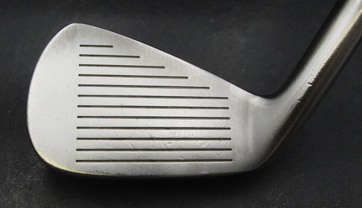 Lynx Tour Forged 5 Iron Regular Steel Shaft Lynx Grip