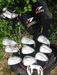 Set of TaylorMade R7 XR 3-PW +Driver +3+5 Wood +Putter +Bag