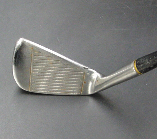 Vintage Titleist ACUSHNET 6 Iron Regular Steel Shaft Golf Pride Grip