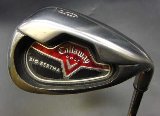 Callaway Big Bertha 9 Iron Stiff Steel Shaft Golf Pride Grip