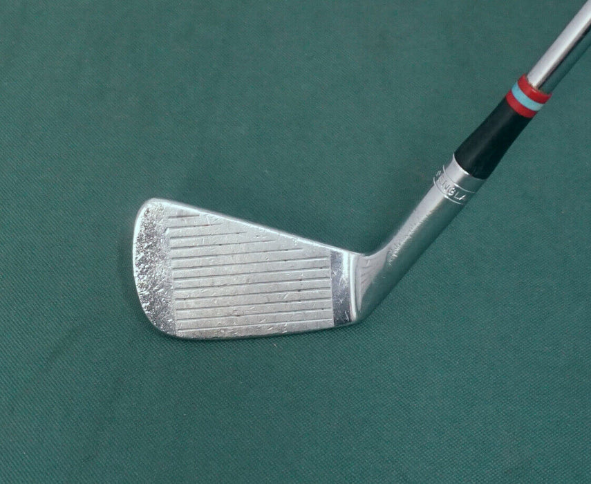 Ben Hogan Slazenger Apex 6 Iron Seniors Steel Shaft Ben Hogan Grip