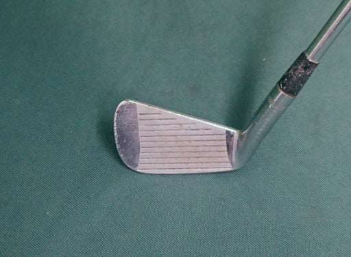 Ben Hogan Apex II Cameo 2 Iron Regular Steel Shaft Ben Hogan Grip